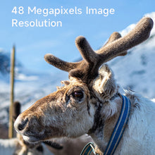 Load image into Gallery viewer, TBD06051106_B4.jpg@bcd7cd3533ccd13fd0bd3b71112f90d3
