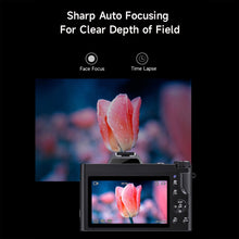 Load image into Gallery viewer, TBD06051148_B3.jpg@10d684f11db023666b6a73fe61d51c91
