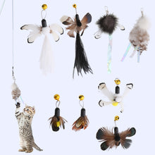 Load image into Gallery viewer, TBD06051199_B1.jpg@63e544061e48616186007079a33e781c
