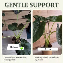 Load image into Gallery viewer, TBD06052655_B3.jpg@295658a77dde0f4bda2394b17bb48328
