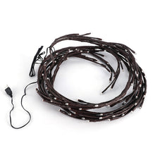 Load image into Gallery viewer, TBD06052812_B1.jpg@ce6f93712eceafa96bc72dcf64c43225
