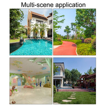 Load image into Gallery viewer, TBD06053332_B4.jpg@bec5d247c8e6cdfaf476d446912e45c6

