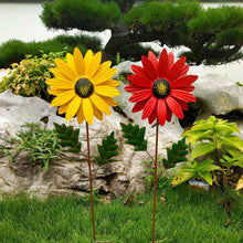Load image into Gallery viewer, TBD06053351_B1.jpg@cd9b923fc9a09ec6a492ba30aeccc147
