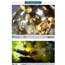 Load image into Gallery viewer, TBD06053638_B9.jpg@6bb286de6c73182195896ef259519ed8
