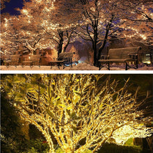 Load image into Gallery viewer, TBD06055198_B6.jpg@cd1b0477f366a024efa9966697903e7e
