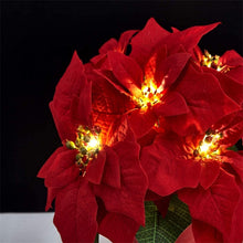 Load image into Gallery viewer, TBD06055441_B2.jpg@e18b2a93be06311c5cddc35c6e65a19a

