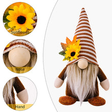 Load image into Gallery viewer, TBD06055458_B7.jpg@c60f33b5e2305270e66118824bed988a
