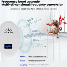 Load image into Gallery viewer, TBD06055772_B2.jpg@1dd54fc42c99b2f0f2df8c3256ef1bb4
