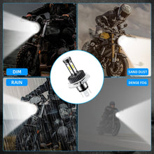 Load image into Gallery viewer, TBD06055835_B11.jpg@ea64328c5ea68bbd67dcbf455410d1f6
