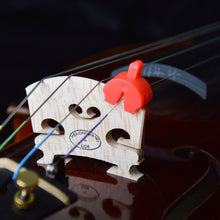 Load image into Gallery viewer, TBD06055947_B3.jpg@6fe15aab4c8e0b800a55330763559f46
