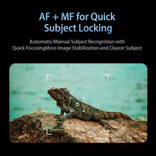 Load image into Gallery viewer, TBD06056167_3.jpg@58c813307879c21c9c1dbd33f9f0be5c
