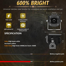 Load image into Gallery viewer, TBD06056292_B6.jpg@8df48fef918a652c28ce43d639ab499c
