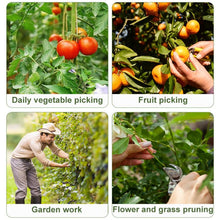 Load image into Gallery viewer, TBD06056959_B4.jpg@cdc717d64ca8431495b06a7f50076976
