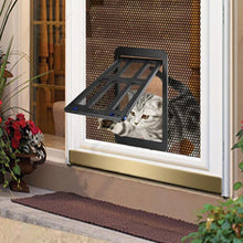 Load image into Gallery viewer, TBD06057119_B6.jpg@91bcf0c50d4a78557f4de4cd3281503e
