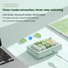 Load image into Gallery viewer, TBD06057292_B5.jpg@23793597cd9d1a0c1345b92a66acc02c
