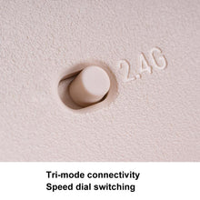 Load image into Gallery viewer, TBD06057632_B12.jpg@c376b832a79bdc4b2d832bbd4795ab8a
