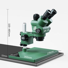 Load image into Gallery viewer, TBD06058341_B3.jpg@8b1afe5fc7353c1b642237859537a221
