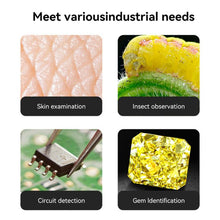 Load image into Gallery viewer, TBD06059531_B2.jpg@7cd8642a45309ee26fe95d62051ab3a1
