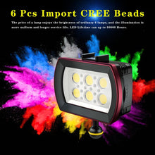 Load image into Gallery viewer, TBD06059825_B9.jpg@97eddb7cf592312a2125a4fb349b400e
