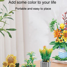 Load image into Gallery viewer, TBD06060223_B4.jpg@e347591fc6807ca9522ce3f5b4b568a1
