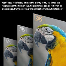 Load image into Gallery viewer, TBD06060628_B2.jpg@d3adc8235463c7a761fd6f0032af446e
