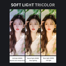 Load image into Gallery viewer, TBD06061167_B4.jpg@e10a7dc28afc25b79ebf7b0db93e5a84
