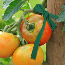 Load image into Gallery viewer, TBD06061194_B2.jpg@95e07d122bb66fb2d6b5dde5d3f813e1
