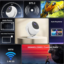 Load image into Gallery viewer, TBD06061560_B3.jpg@ac01bc4e34002efeced1909ed7338cce
