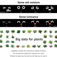 Load image into Gallery viewer, TBD06061633_B9.jpg@a9fc3cdd2a1b63934a97c91e2878f398
