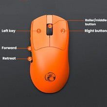 Load image into Gallery viewer, TBD06061640_B7.jpg@ba59eb51bc52f3884bcc8feeff03672a
