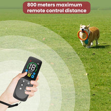 Load image into Gallery viewer, TBD06062652_B7.jpg@9e56921d99eeccfc883bbd249498a9a6
