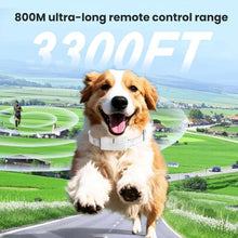 Load image into Gallery viewer, TBD06062685_B5.jpg@5c57e9bd7d855bc5fef95736894d3abc
