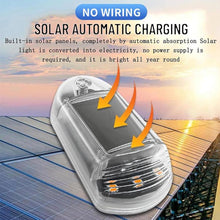Load image into Gallery viewer, TBD06063188_B4.jpg@aea2a8c5b9a96728e354364e55abe9d1
