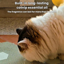 Load image into Gallery viewer, TBD06067044_B6.jpg@9c027b769510964a99d8ea0acc5f9732
