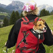Load image into Gallery viewer, TBD06071068_B5.jpg@fb7a0e55c0f5fd28afaa2c09a6b6690c

