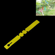 Load image into Gallery viewer, TBD069521901C_1.jpg@8b6e9f6e099f41335a4e2bd0f1b383a8
