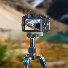 Load image into Gallery viewer, TBD086399301A_9.jpg@ba7fe25e4b9905560a1d8839579edad2
