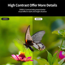 Load image into Gallery viewer, DMP0102BS_11.jpg@af06dd19bbf040417b1841b679cbc6b2
