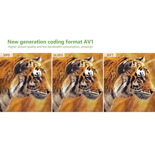 Load image into Gallery viewer, EDA003217401_B4.jpg@4079a5cf94ee97beeb071e39b9d43f1b
