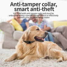 Load image into Gallery viewer, EDA006017601A_7.jpg@380fbfb6812b36315983d109d4b00369
