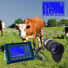 Load image into Gallery viewer, HC2297_5.jpg@5ba3563a2ec3df232c5df56694a5f451
