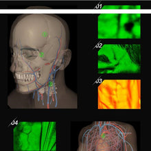 Load image into Gallery viewer, TBD04094258_4.jpg@ff3d49d32e819d2f30632105d8549eb2
