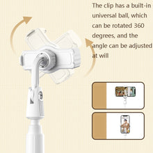 Load image into Gallery viewer, TBD0601677901_B3.jpg@495b6394bdd9768985483e921ac6c2b3
