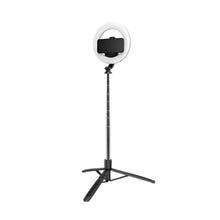 Load image into Gallery viewer, TBD0601912802.jpg@bff7d48ad8c13f3b258c5c9c212b484c
