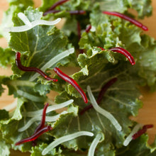 Load image into Gallery viewer, TBD06037976_B4.jpg@cf4300c90dfaf896a922267f6b4b50cf
