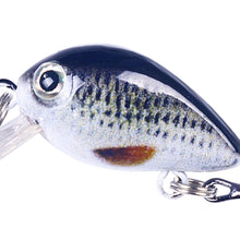 Load image into Gallery viewer, TBD06038447_B4.jpg@bde91681d34b2ac51bd9ede5a68b0aab
