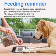 Load image into Gallery viewer, TBD06040281_B8.jpg@12b31562850375be22f0b6fceac1001a
