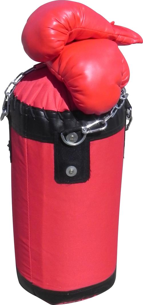 Junior Boxing Punch Bag