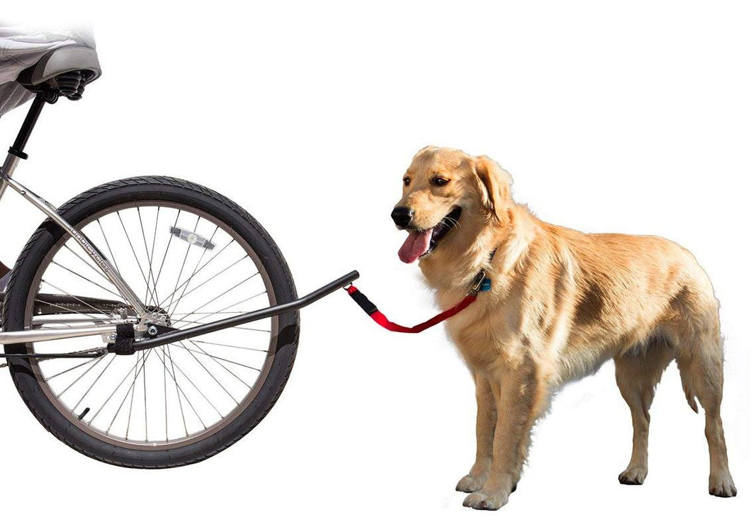 SUNLITE Bicycle Dog Leash